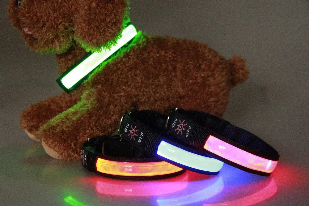 LED Glowing Dog Collar – USB Rechargeable Flashing Light
