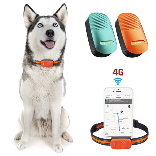 Smart 4G Mini GPS Pet Tracker NZ | Waterproof Real-Time Remote Control Tracker for Cats & Dogs – PawNest