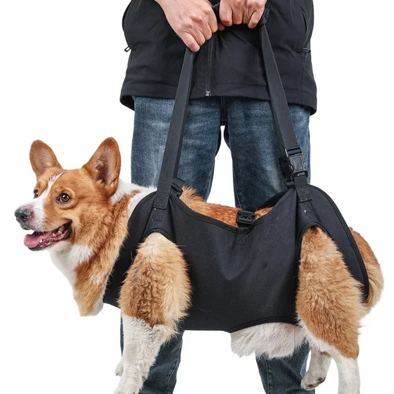 Dog Lift Harness NZ | Full-Body Support Sling for Large Elderly, Injured & Disabled Dogs – PawNest