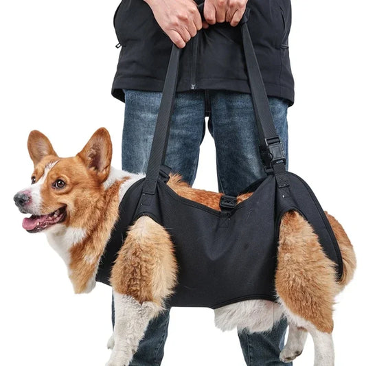 Dog Lift Harness NZ | Full-Body Support Sling for Large Elderly, Injured & Disabled Dogs – PawNest