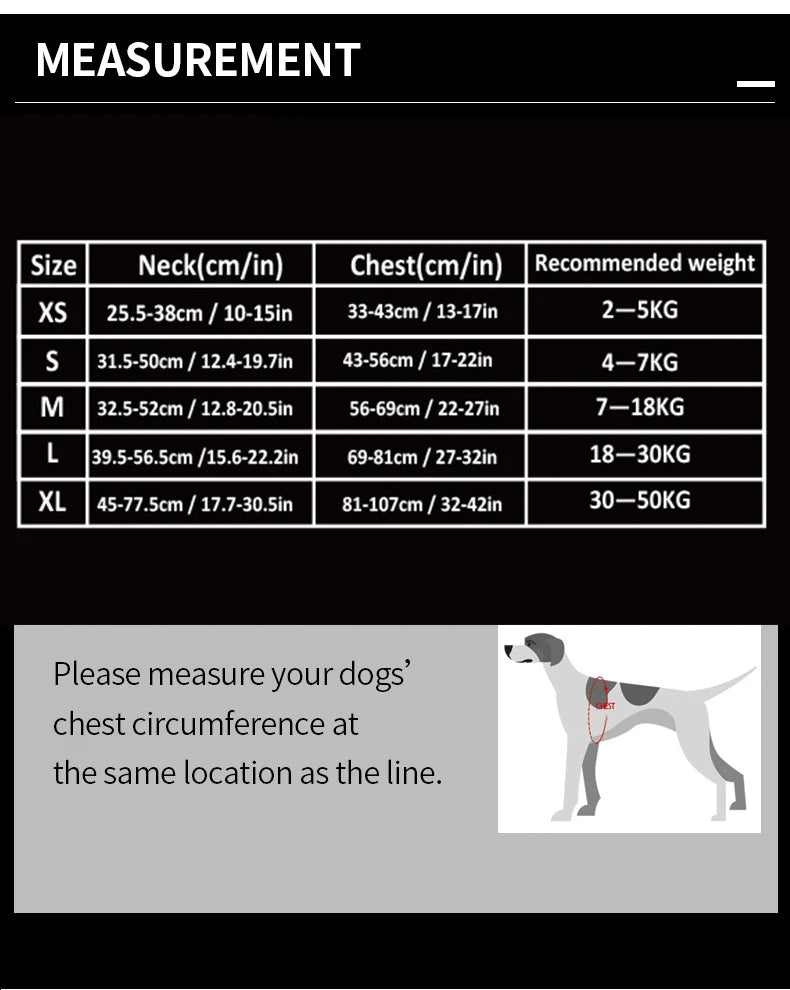 TrueLove No-Pull Reflective Dog Harness NZ | Adjustable & Comfortable Fit – PawNest