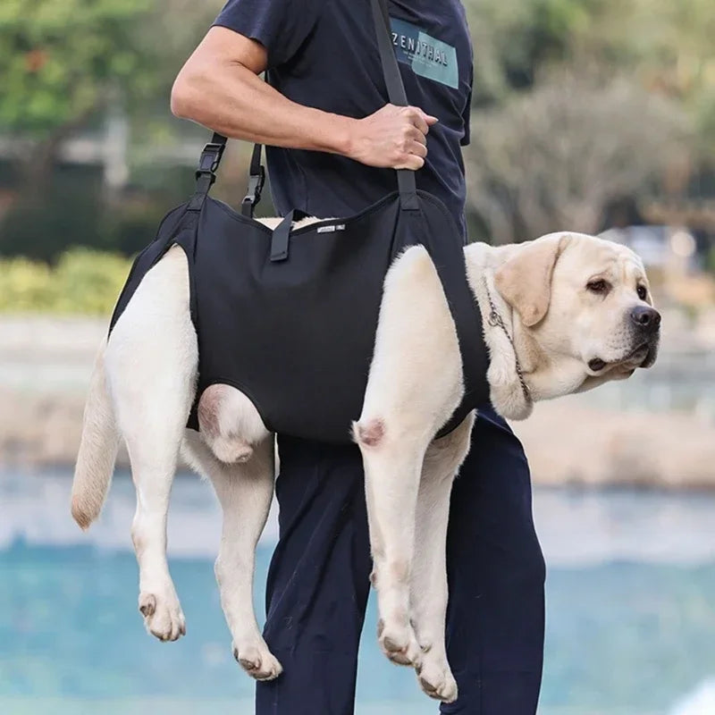 Dog Lift Harness NZ | Full-Body Support Sling for Large Elderly, Injured & Disabled Dogs – PawNest