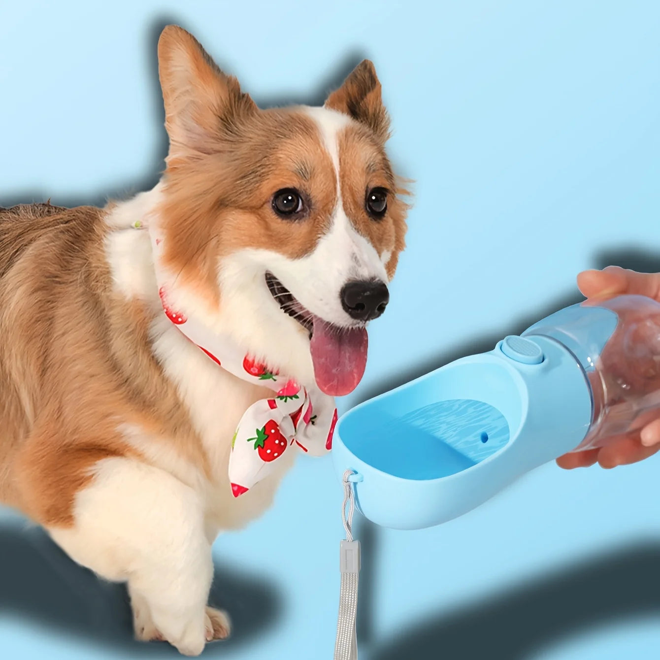 Portable Pet Water Bottle Dispenser 350ml/500ml – Leakproof Travel Drink Cup