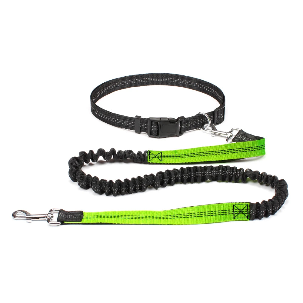 Hands-Free Dog Leash NZ | Adjustable Waist Belt & Chest Strap for Running, Walking & Jogging with Pets