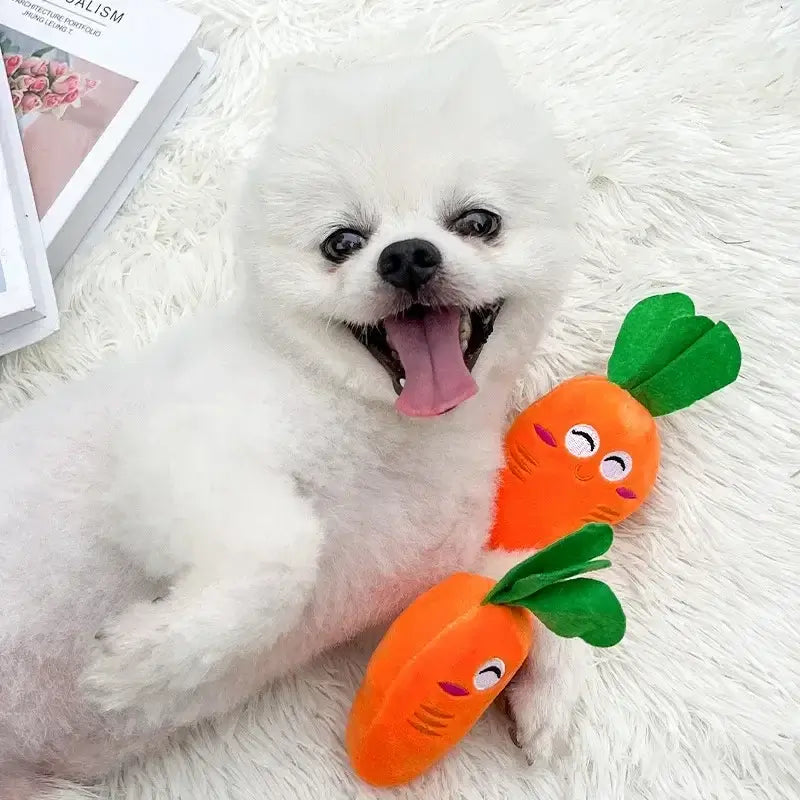 Mini Squeaky Plush Dog Toy NZ | Tough Chew Toy for Small & Medium Dogs & Cats – PawNest