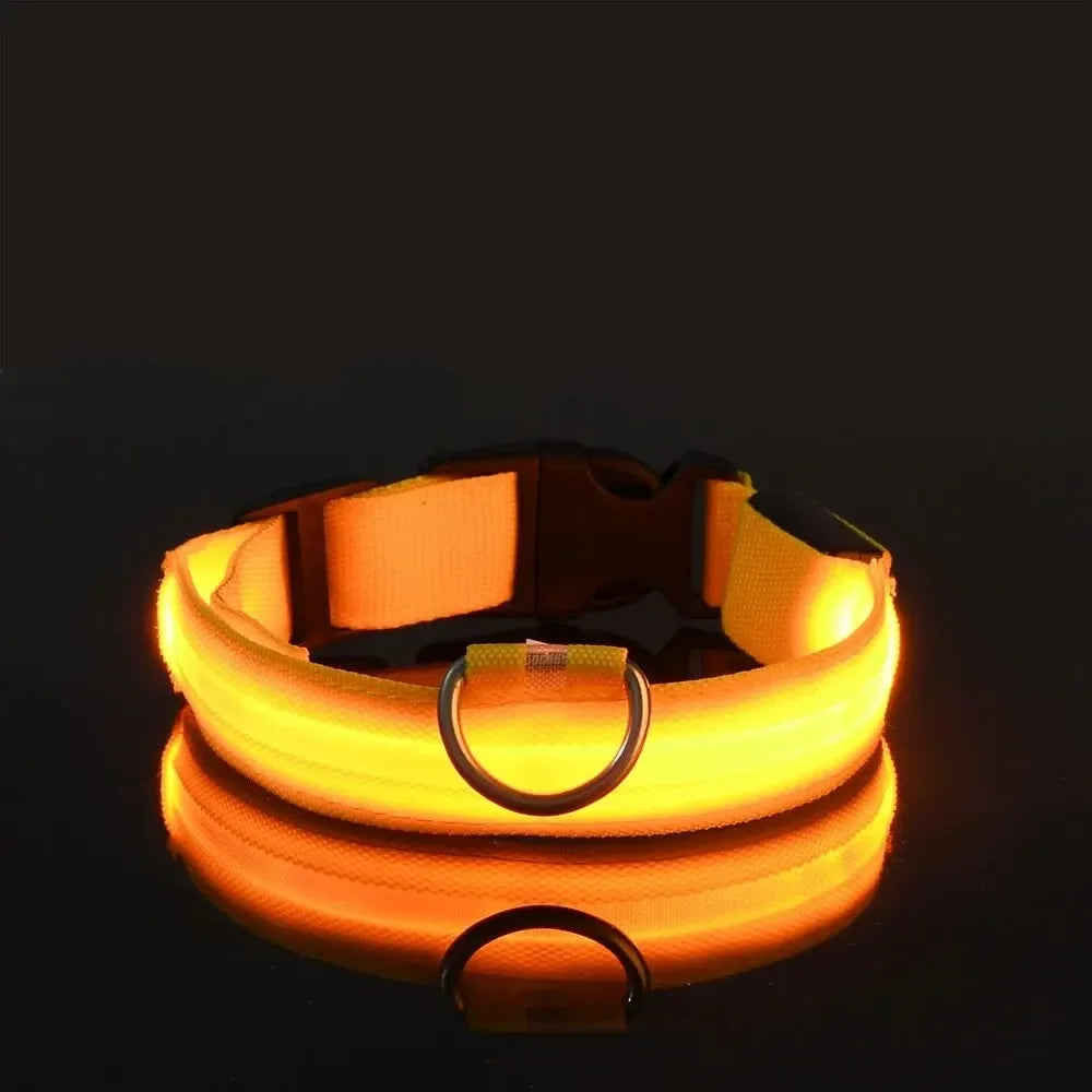 Light Up LED Dog Collar – Safety Flashing Glow Battery Collar