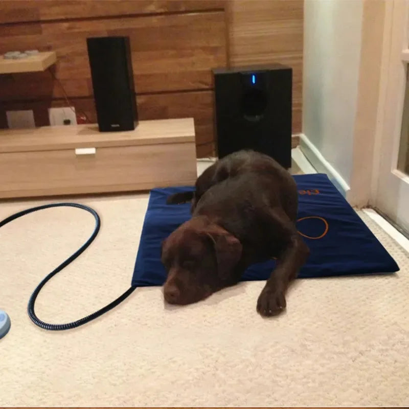 45×60cm Electric Pet Heating Pad NZ | Waterproof Adjustable Dog & Cat Warmer – PawNest