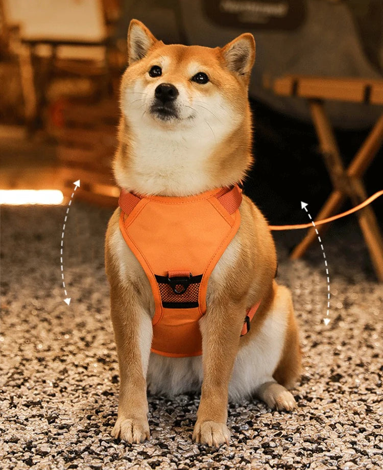 Breathable Explosion-Proof Dog Harness NZ | Adjustable Vest for Medium & Large Dogs Outdoor Training – PawNest