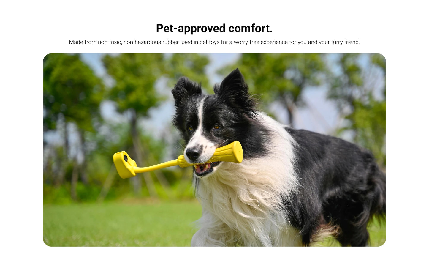 Fetch Stick for Dogs – Compatible with Insta360 GO 3 & GO 3S | Original Pet Camera Accessory