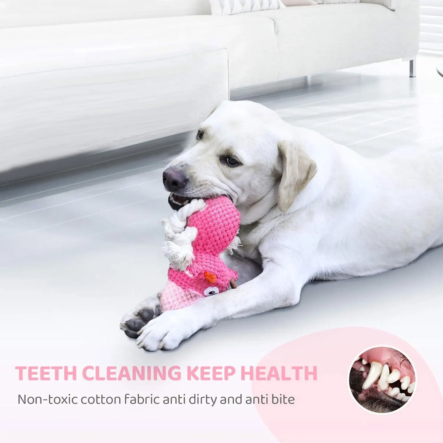 Indestructible Dog Toy NZ | Durable Squeaky Plush for Large Aggressive Chewers – PawNest
