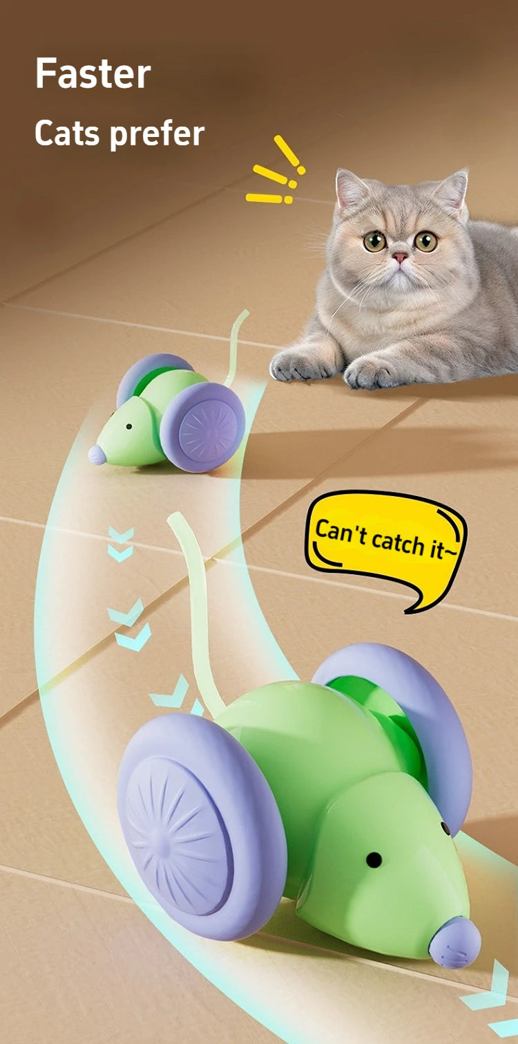 Interactive Cat Toy NZ | Electric Mouse Teaser with Obstacle Avoidance – PawNest