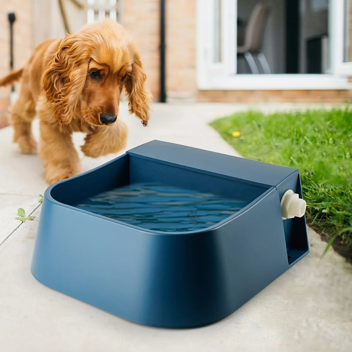 2L Automatic Pet Waterer NZ | Self-Filling Durable Water Bowl for Cats, Dogs & More – PawNest