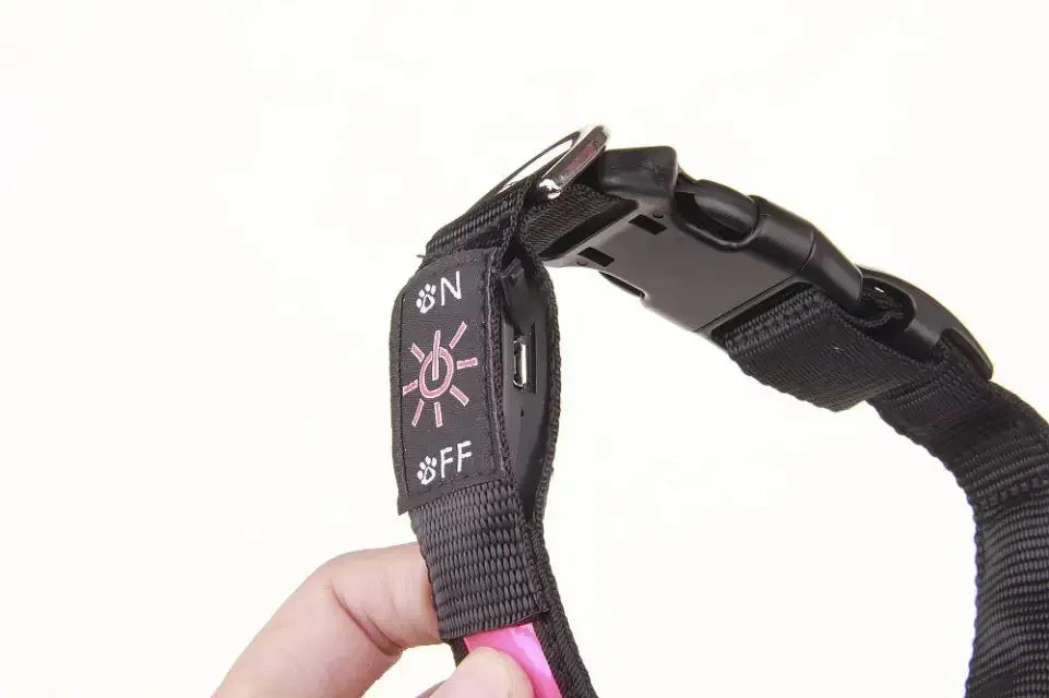 LED Glowing Dog Collar – USB Rechargeable Flashing Light