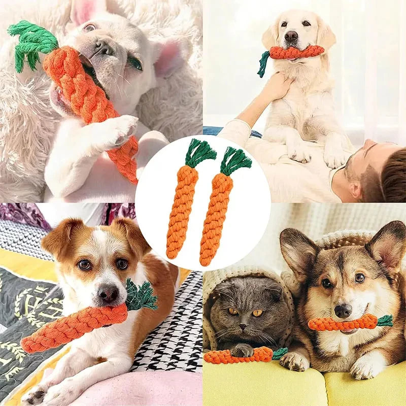 Cartoon Animal Dog Chew Toys NZ | Durable Braided Bite-Resistant Puppy Molar Cleaner – PawNestotton Rope Toy