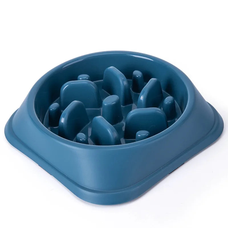 Non-Slip Slow Feeder Dog Bowl NZ | Puzzle Anti-Gulping Food Dish for Medium Dogs – PawNestedium Small Dogs Puppy