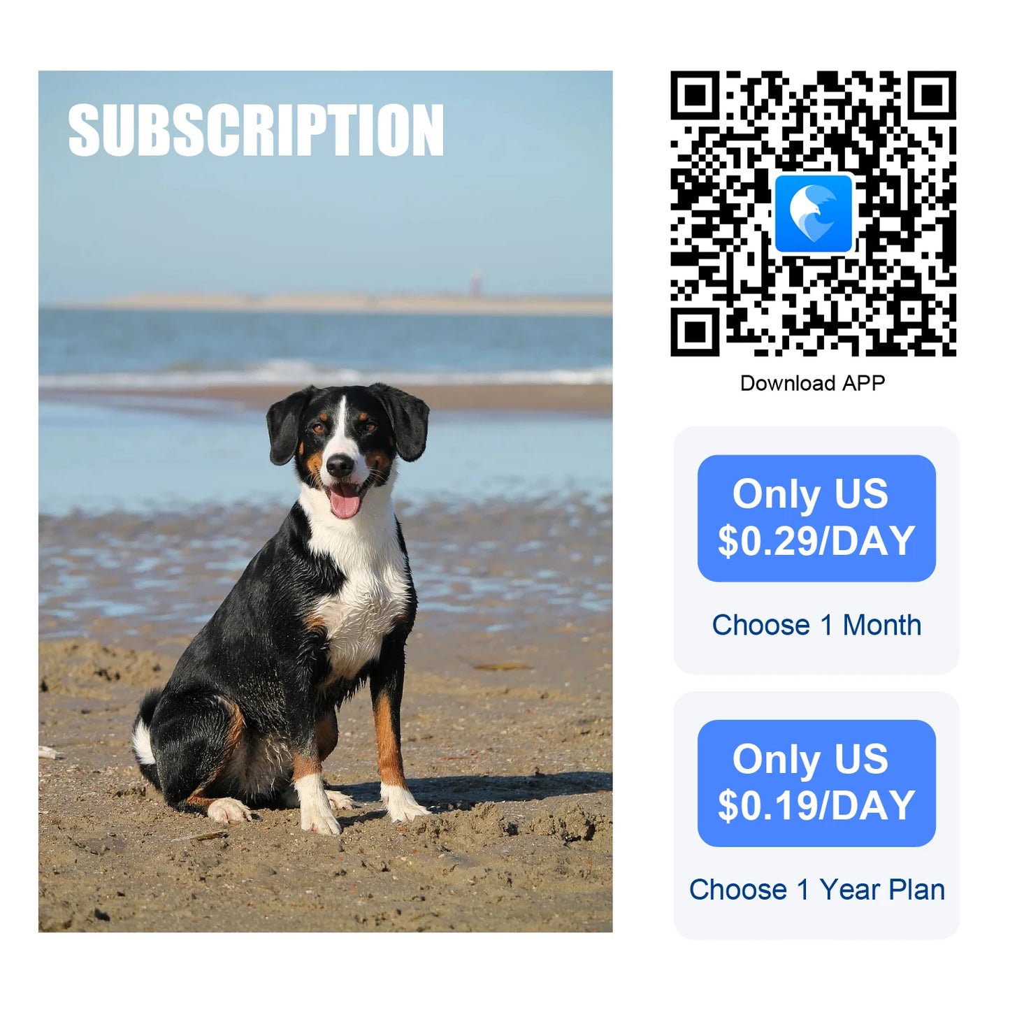 Global Pet Tracker NZ | Waterproof GPS Dog & Cat Tracker with App – Low Service Fee – PawNest