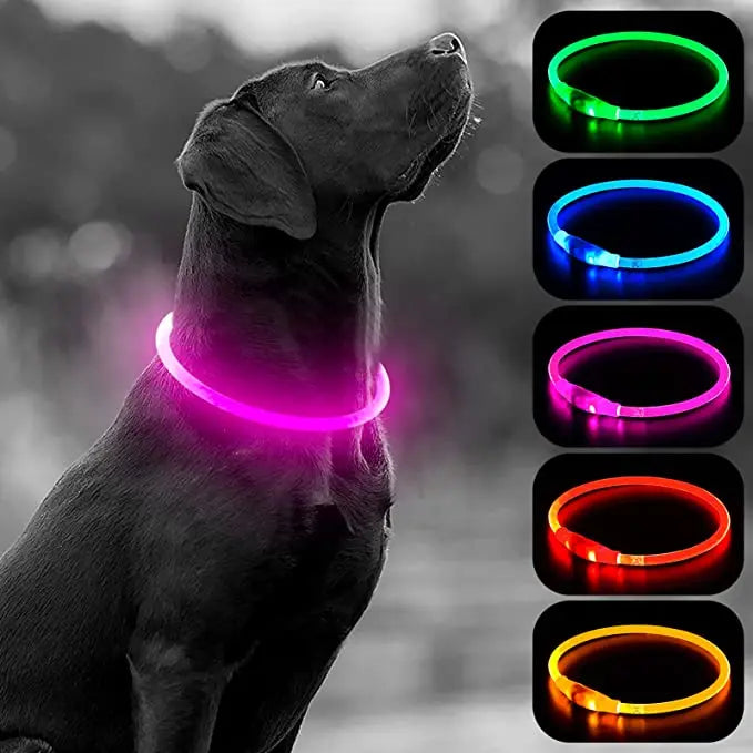 Luminous Dog Collar Light – USB Rechargeable LED Safety Collar