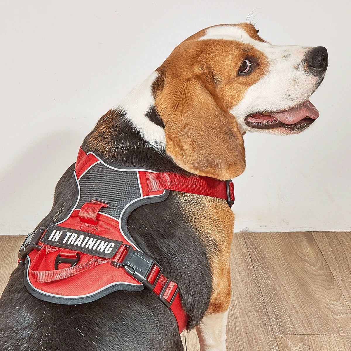 No-Pull Dog Harness NZ | Adjustable Reflective Safety Vest for Medium & Large Dogs – PawNest