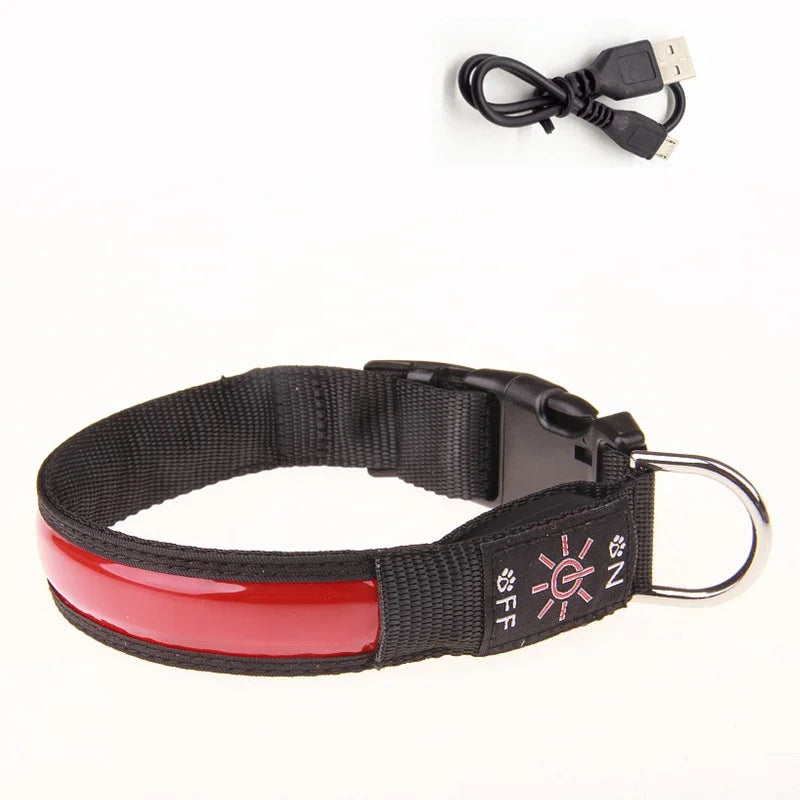 LED Glowing Dog Collar – USB Rechargeable Flashing Light