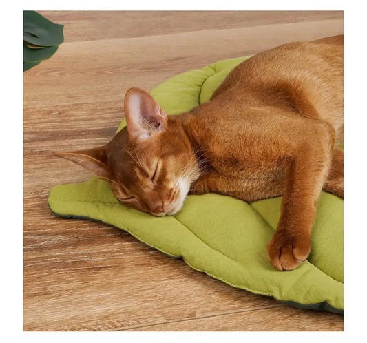 Leaf-Shaped Cat Bed Mat NZ | Soft Double-Sided Washable Pet Pad for Cats & Small Dogs – PawNest