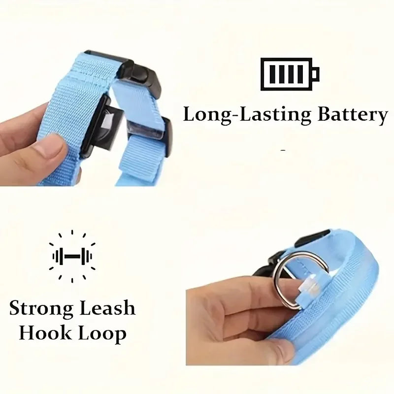 Light Up LED Dog Collar – Safety Flashing Glow Battery Collar