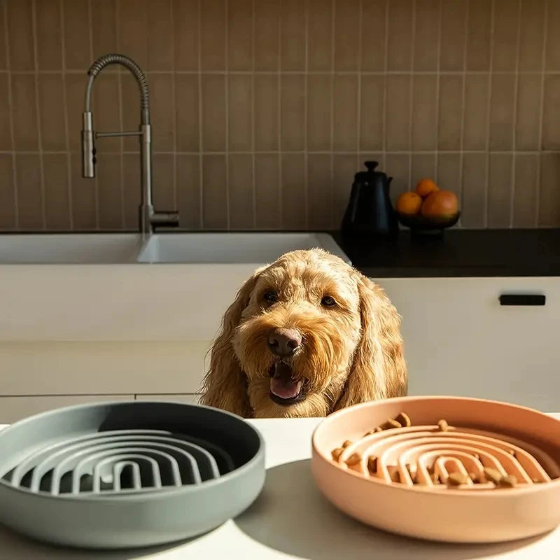 Round Silicone Slow Feeder Bowl NZ | Anti-Choking Non-Slip Suction Cup Dog & Cat Food & Water Bowl – PawNestDish Bowl