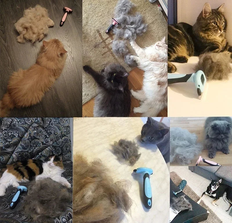 Double-Sided Pet Grooming Brush – Shedding & Dematting Undercoat Rake Comb for Dogs & Cats | Deshedding Tool for Grooming & Care
