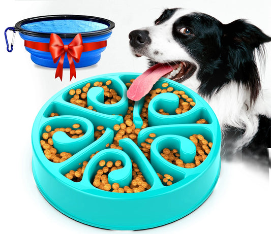 Eco-Friendly Slow Feeder Dog Bowl NZ | Non-Slip, Anti-Gulping Fun Feeding Bowl for All Dog Sizes – PawNest