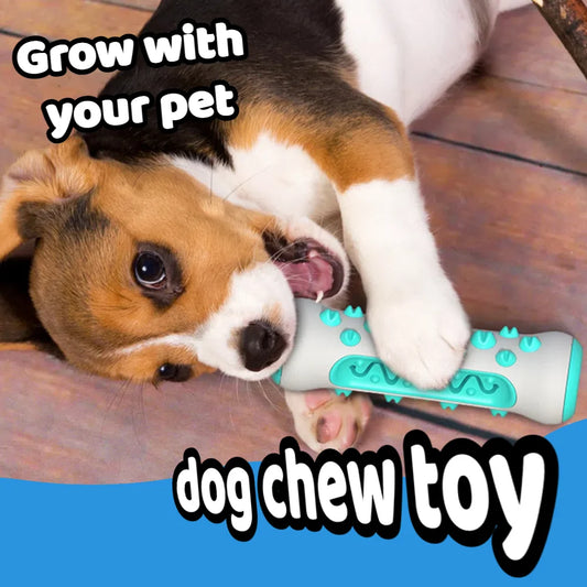 Dog Chew Toy & Treat Dispenser NZ | Interactive Teeth Cleaning Toy for Small & Large Dogs – PawNest