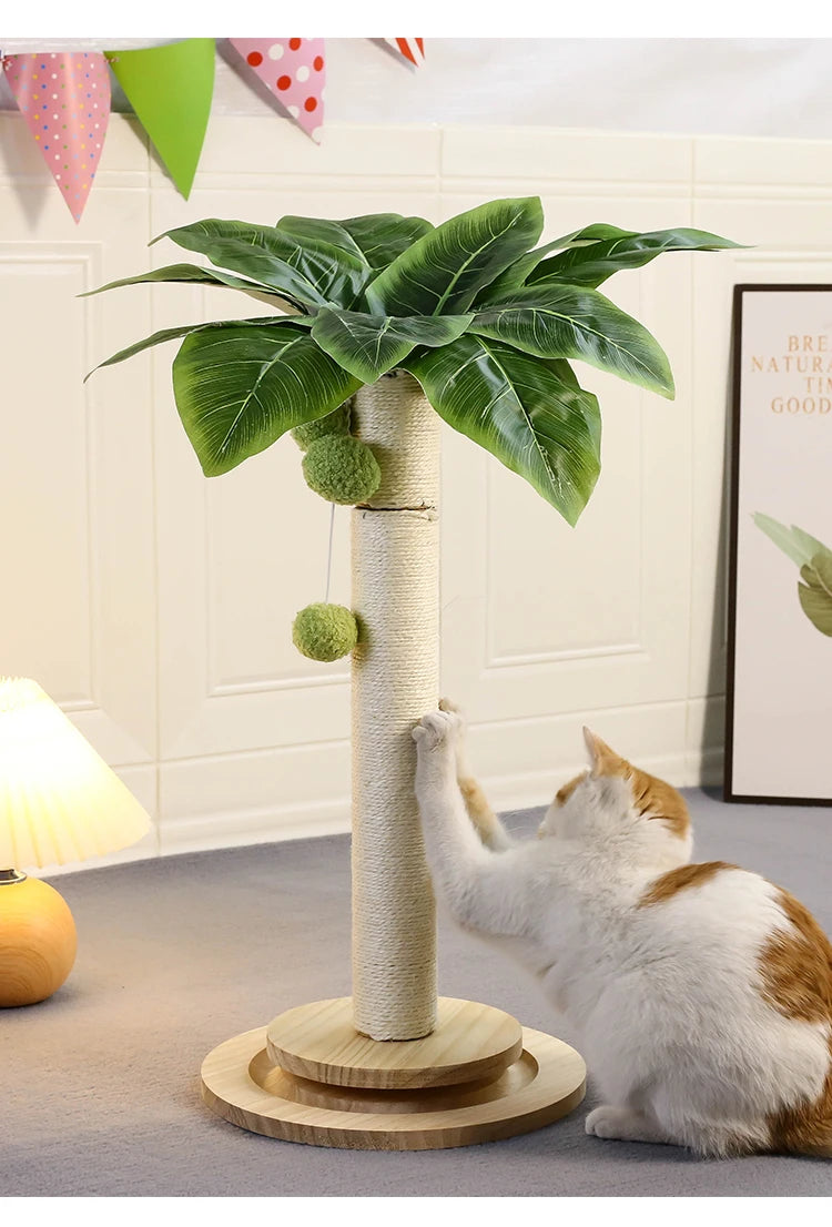 Cat Scratching Post NZ | Natural Sisal Rope Post with Hanging Balls & Wooden Track Toy – PawNest