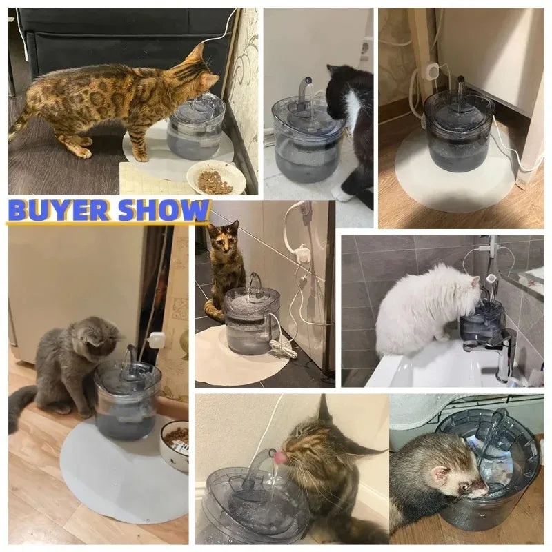 Automatic Pet Water Dispenser NZ | Sensor-Activated Circulating Fountain with Filter – PawNestn pet drinking water