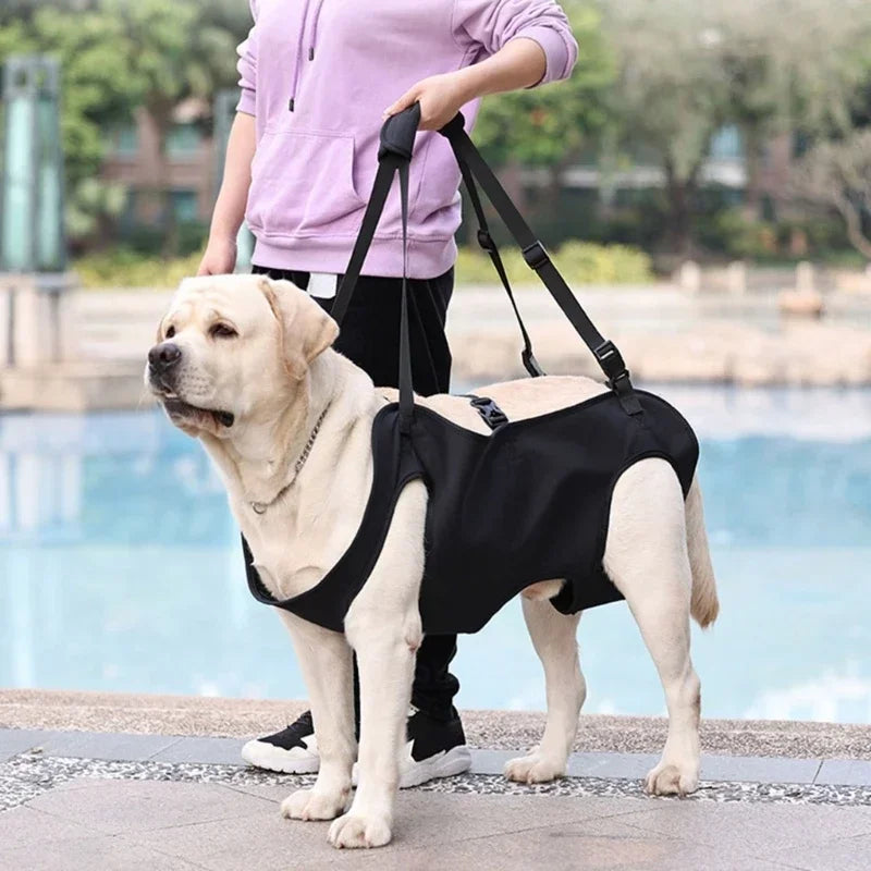 Dog Lift Harness NZ | Full-Body Support Sling for Large Elderly, Injured & Disabled Dogs – PawNest