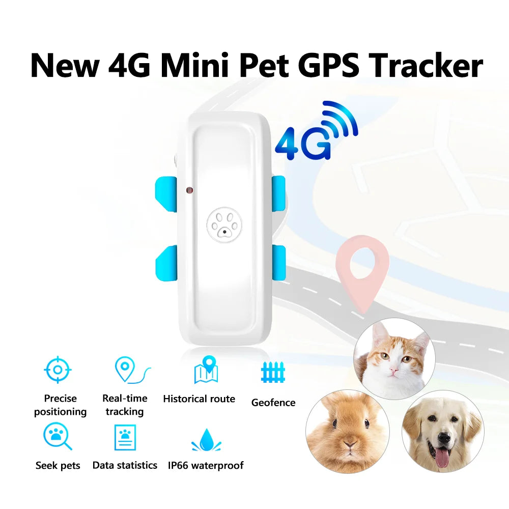 4G Pet GPS Tracker TK911Pro NZ | Real-Time Dog & Animal Finder with Geo-fence & Free App – PawNest