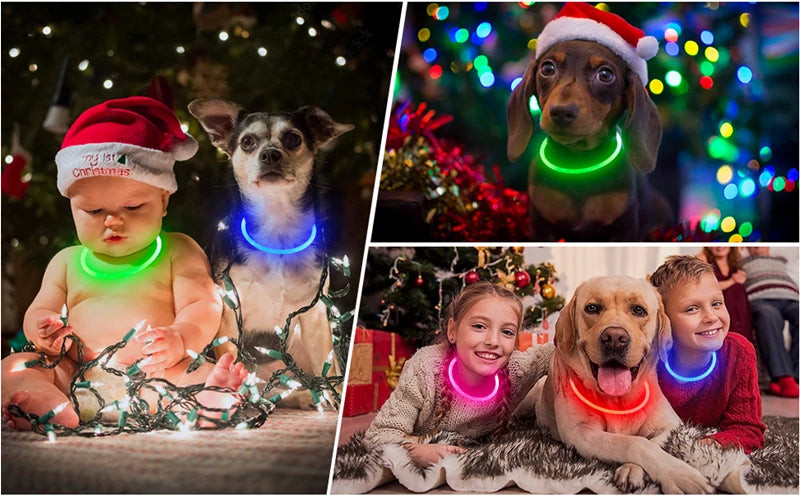 Luminous Dog Collar Light – USB Rechargeable LED Safety Collar