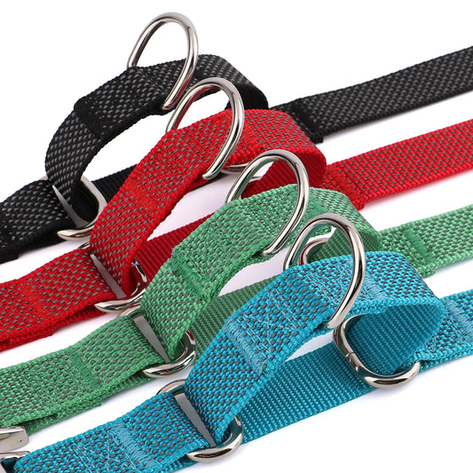 Custom Reflective Martingale Dog Collar – Adjustable Nylon