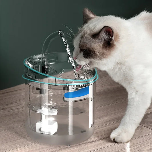 Smart Pet Water Fountain NZ | USB-Powered Automatic Filtered Cat Water Dispenser – PawNest