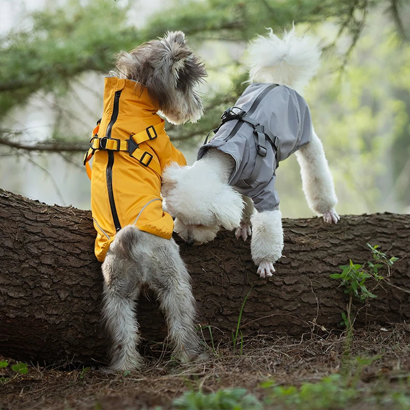 Reflective Waterproof Dog Raincoat NZ | Outdoor Spring Hoodie for Small & Medium Dogs – PawNest