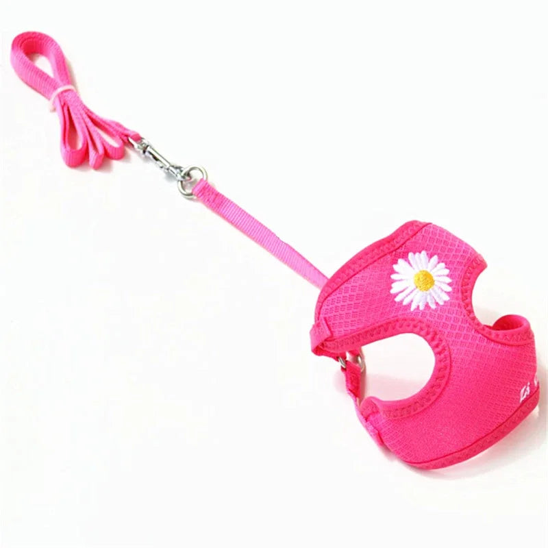 Daisy Embroidered Harness & Leash Set NZ | Small & Medium Dogs, Kittens, Puppies – PawNest