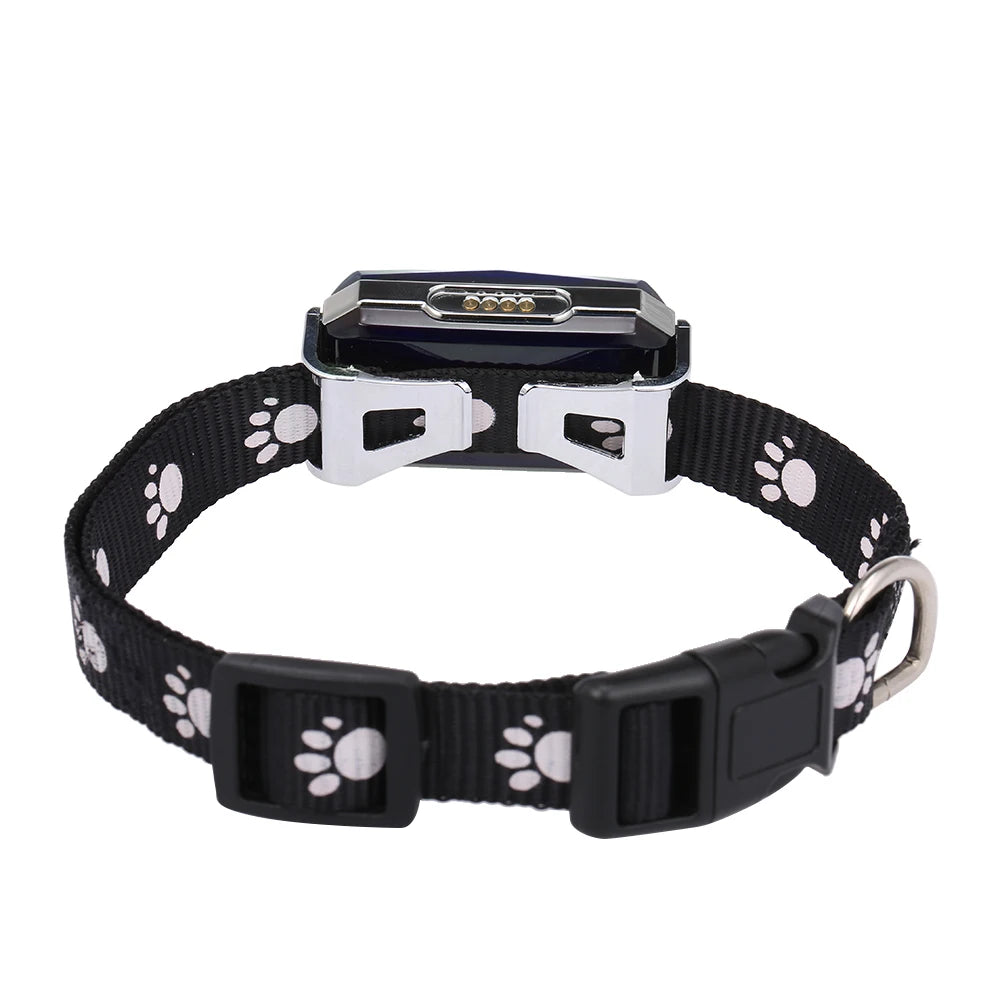 Smart GSM GPS Pet Tracker Collar NZ | IP67 Waterproof Real-Time Geo-Fence & SOS Anti-Lost Alarm – PawNest