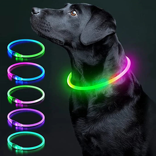 Luminous Dog Collar Light – USB Rechargeable LED Safety Collar