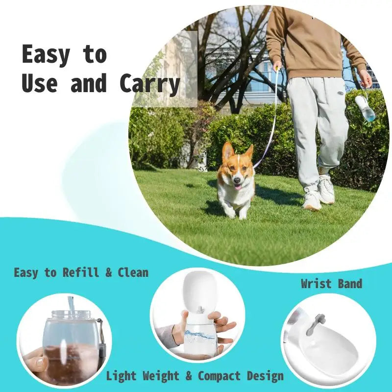 300ml Portable Dog Water Bottle – Leakproof Pet Travel Feeder