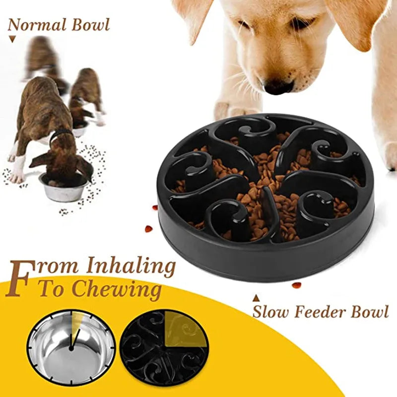 Eco-Friendly Slow Feeder Dog Bowl NZ | Non-Slip Anti-Gulping Slow Feeding Bowl for Large, Medium & Small Dogs – PawNest