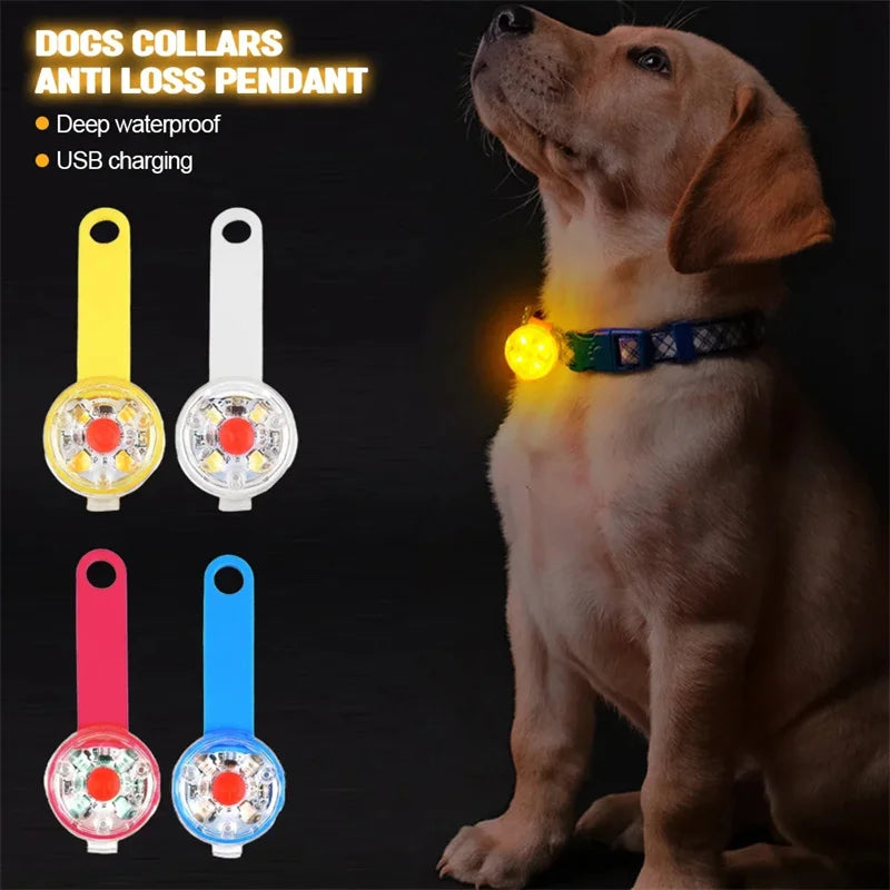 Dog Anti-Loss LED Collar – Waterproof, USB Rechargeable Light