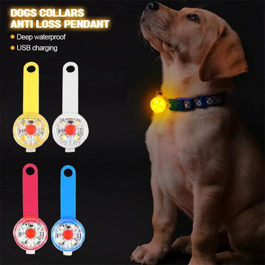 Dog Anti-Loss LED Collar – Waterproof, USB Rechargeable Light