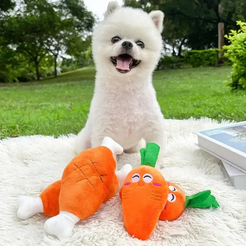 Mini Squeaky Plush Dog Toy NZ | Tough Chew Toy for Small & Medium Dogs & Cats – PawNest