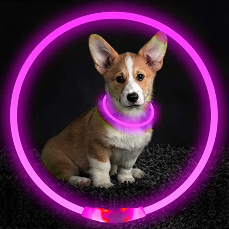 Luminous Dog Collar Light – USB Rechargeable LED Safety Collar