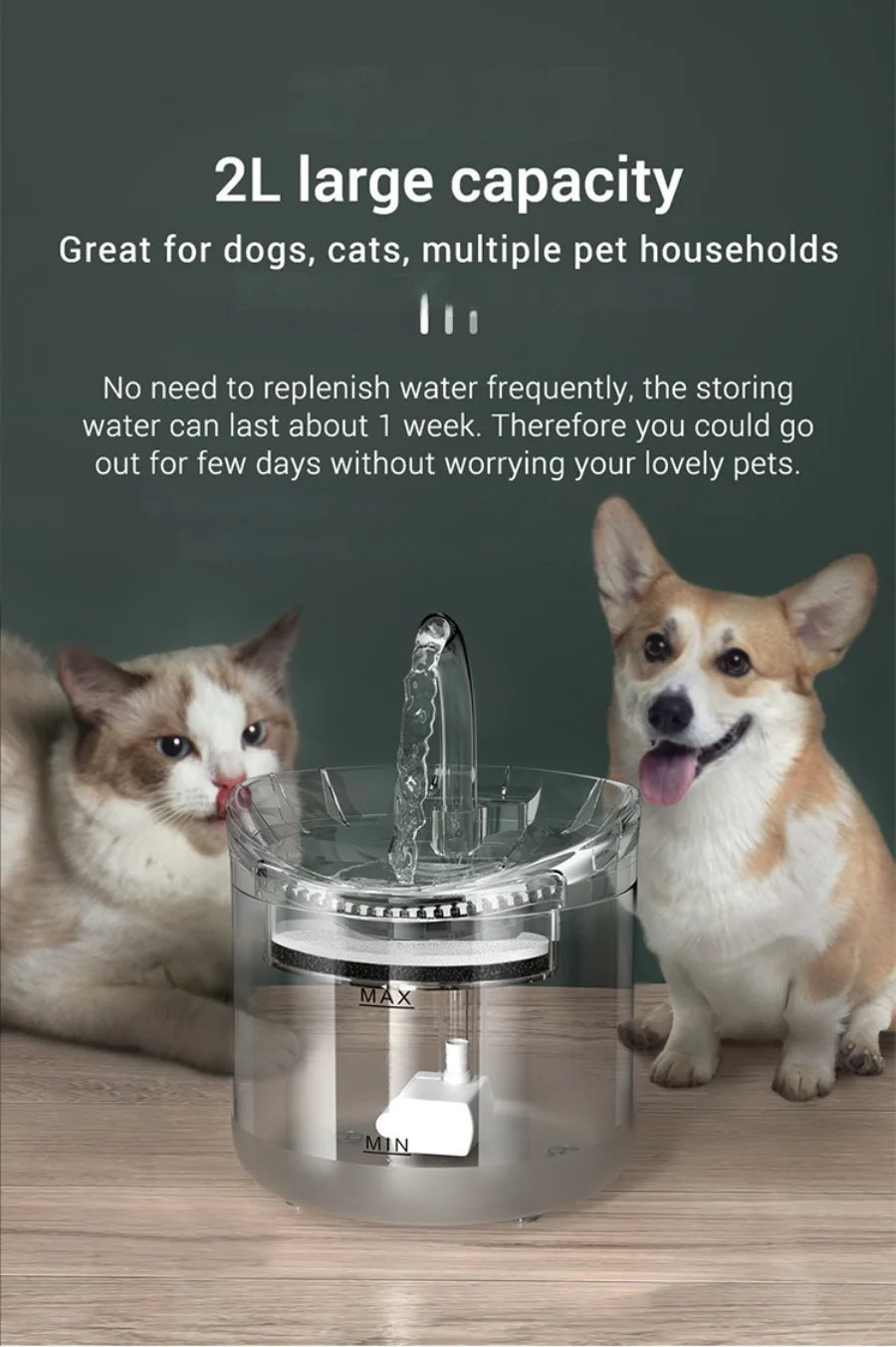 Automatic Pet Water Dispenser NZ | Sensor-Activated Circulating Fountain with Filter – PawNestn pet drinking water