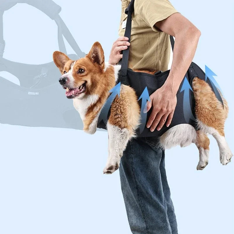 Dog Lift Harness NZ | Full-Body Support Sling for Large Elderly, Injured & Disabled Dogs – PawNest