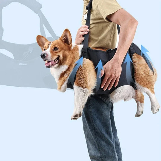 Dog Lift Harness NZ | Full-Body Support Sling for Large Elderly, Injured & Disabled Dogs – PawNest