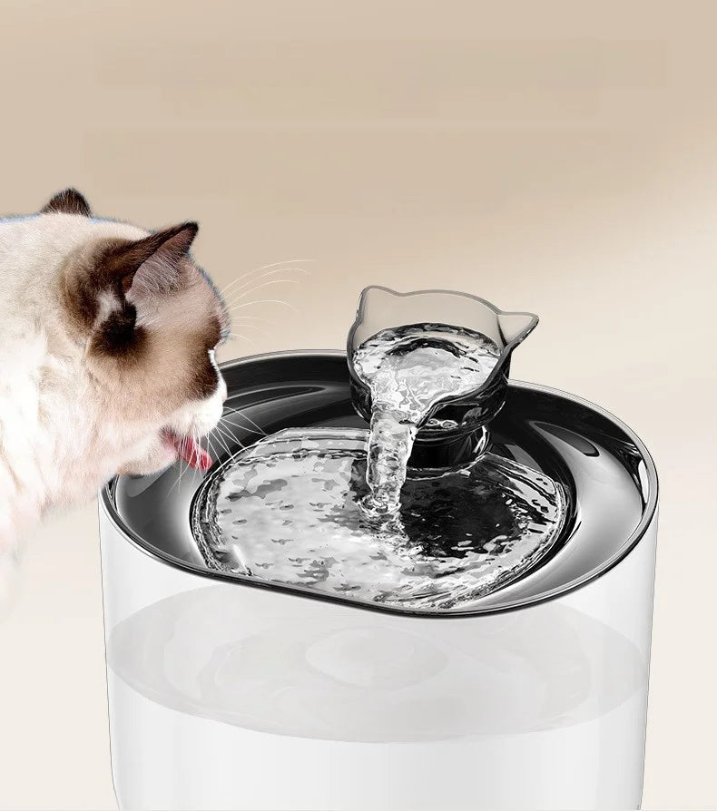 Smart Automatic Pet Water Fountain NZ | Filtered Moving Water Dispenser for Cats & Dogs – PawNest